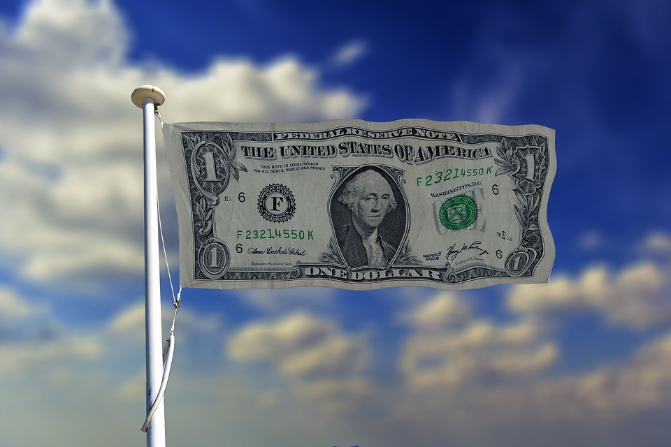 dolar vlajka