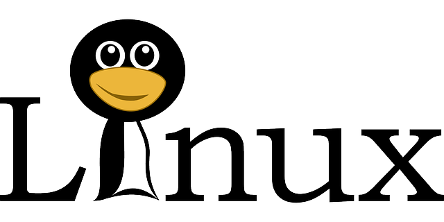 Linux se symbolem