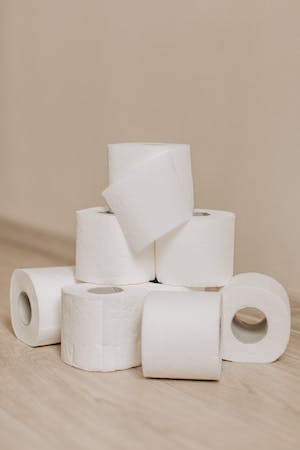 Role toaletního papíru 